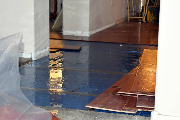Professional Emergency Water Damage Restoration technician working in Scottown, OH